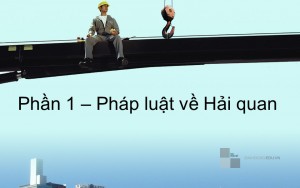 Thực hành nghiệp vụ Hải quan - phần 1 (Pháp luật hải quan)