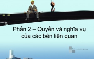 Thực hành Nghiệp vụ Hải Quan phần 2 (quyền và nghĩa vụ các bên liên quan)