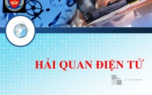 Hải quan điện tử