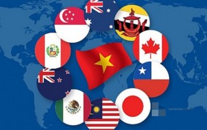 HỘI NHẬP KINH TẾ CỦA VIỆT NAM