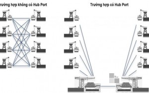 Hub Port - Cảng Trung Chuyển Tập Trung Và Những Lợi Ích