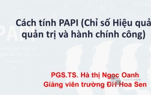 Cách tính PAPI - Chỉ số Hiệu quả quản trị và hành chính công