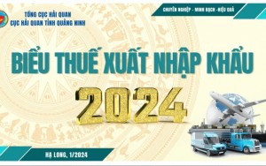 Biểu thuế hải quan