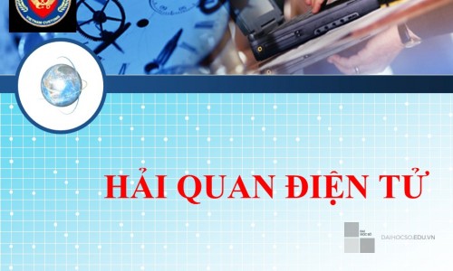 Hải quan điện tử
