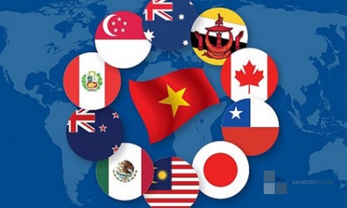 HỘI NHẬP KINH TẾ CỦA VIỆT NAM