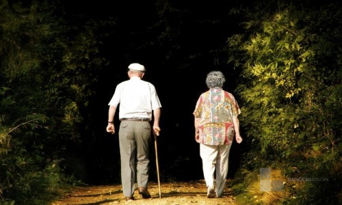 Giá mà tôi không đưa bố vào viện dưỡng lão