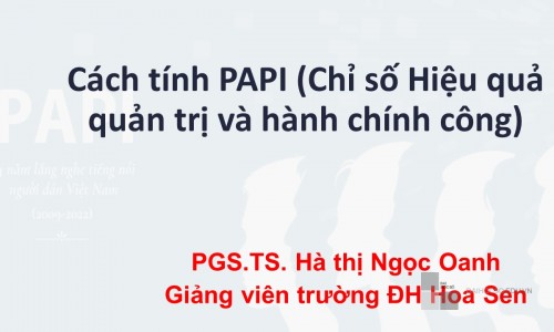 Cách tính PAPI - Chỉ số Hiệu quả quản trị và hành chính công