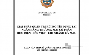 Giải pháp quản trị rủi ro tín dụng tại Ngân hàng thương mại cổ phần Bưu điện Liên Việt chi nhánh Cà Mau